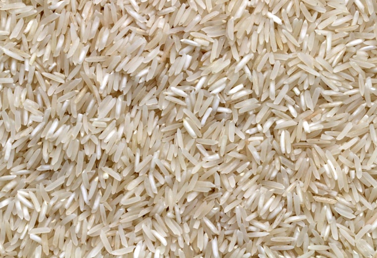 Agri & Food — category